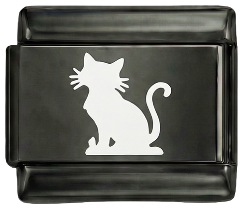 Chat blanc sur charm noir