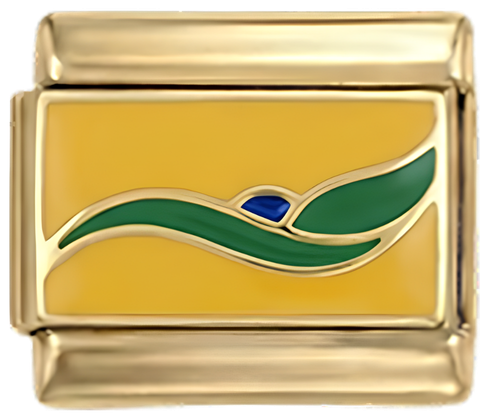 Brasilianisches Abzeichen