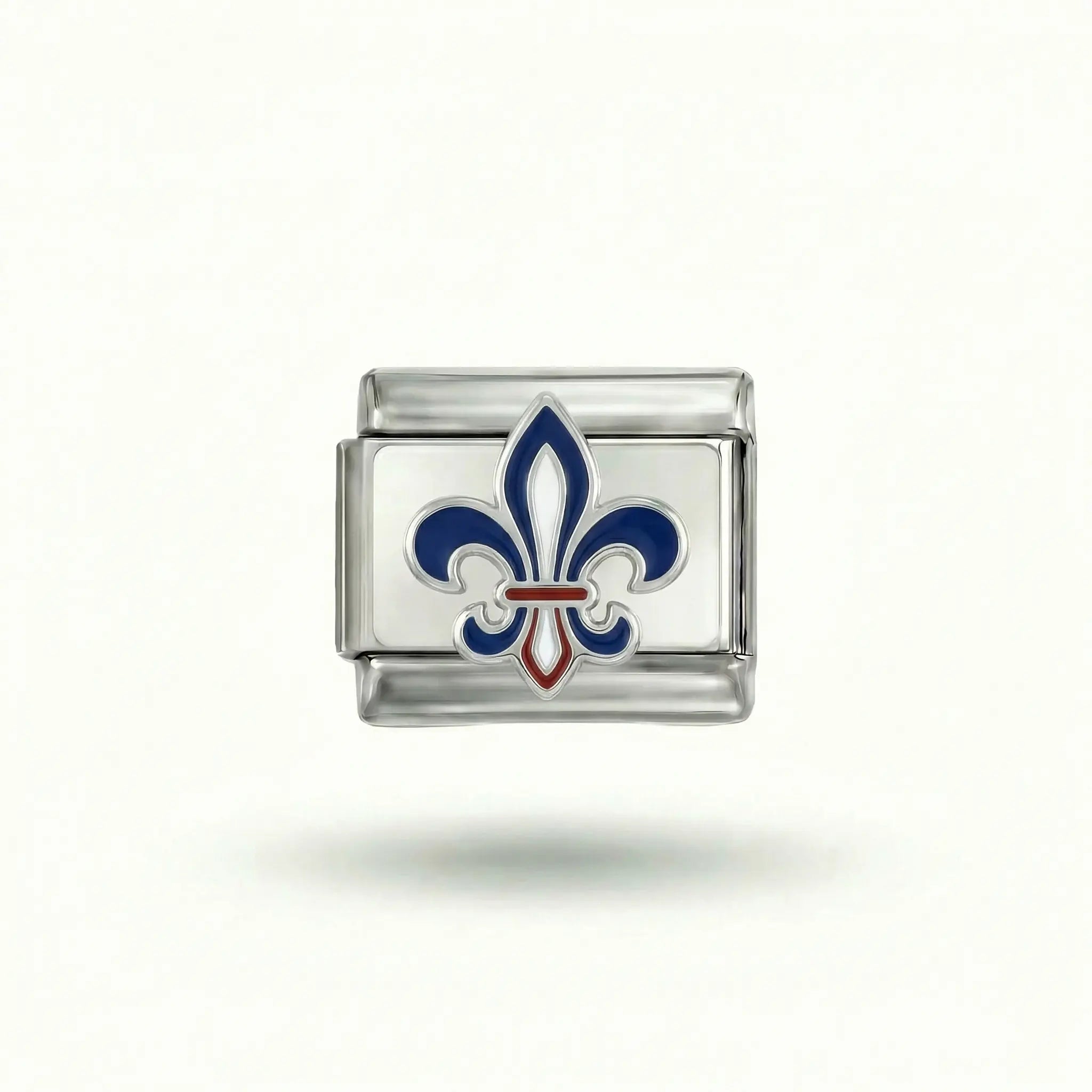 Image de la diapositive