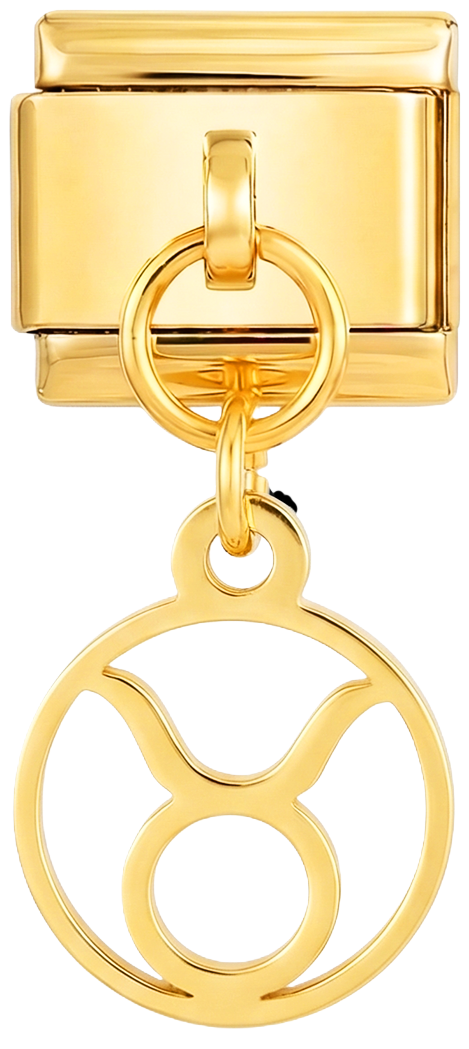 Image de la diapositive