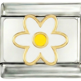 Marguerite blanche et son cœur jaune