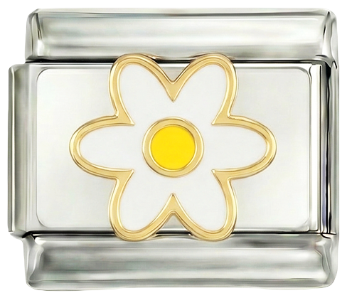 Image de la diapositive