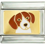 Dog, Brown and White, on silver - dog-brown-and-white-on-silver.png
